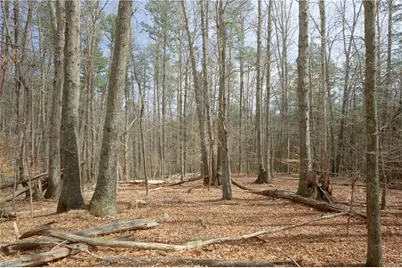 1019-3 George Road, Westfield, NC 27053 - Photo 4