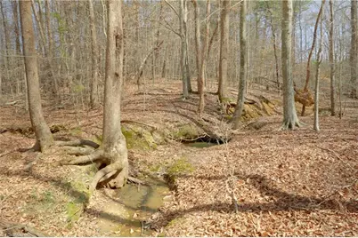 1019-11 George Road, Westfield, NC 27053 - Photo 10