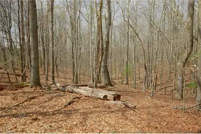 1019-12 George Road, Westfield, NC 27053 - Photo 8