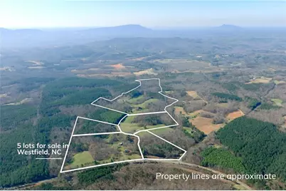 1019-12 George Road, Westfield, NC 27053 - Photo 16