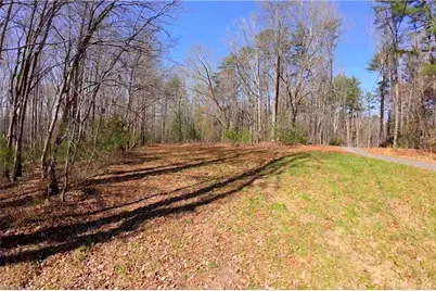 1019-12 George Road, Westfield, NC 27053 - Photo 10