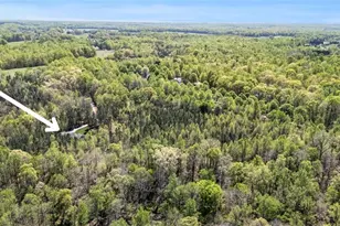 8150 High Rock Rd, Efland, NC 27243 - Photo 50