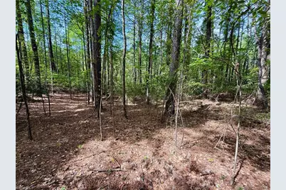 161 Greens Road, Granite Falls, NC 28630 - Photo 18