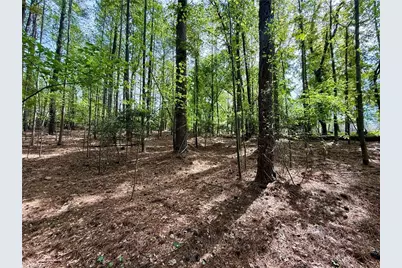 161 Greens Road, Granite Falls, NC 28630 - Photo 4