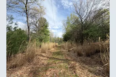 5636 Mertie Road, Millers Creek, NC 28635 - Photo 34
