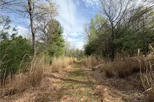 5636 Mertie Rd, Millers Creek, NC 28635 - Photo 34