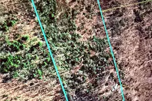 5636 Mertie Rd, Millers Creek, NC 28635 - Photo 4