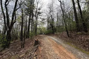 5636 Mertie Rd, Millers Creek, NC 28635 - Photo 30