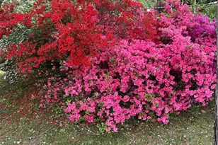 904 Blackstone Cir, Thomasville, NC 27360 - Photo 12