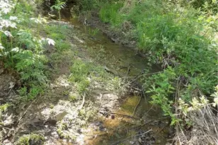 357 Allie Ln, Franklinville, NC 27248 - Photo 36