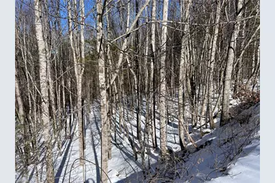 Tbd (Lots 13 & 14) Timberwilde Drive, Laurel Springs, NC 28644 - Photo 18