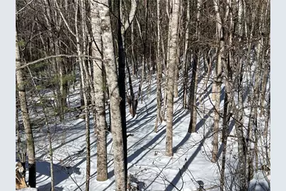 Tbd (Lots 13 & 14) Timberwilde Drive, Laurel Springs, NC 28644 - Photo 4