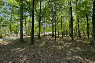 7235 Ledbetter Rd, Climax, NC 27233 - Photo 26
