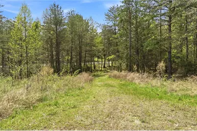 1355 Spainhour Mill Road, Pinnacle, NC 27043 - Photo 14