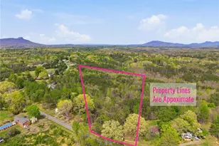 1301 Spainhour Mill Rd, Pinnacle, NC 27043 - Photo 1