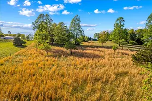 360 Orchard Rd, Moravian Falls, NC 28654 - Photo 50