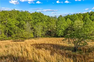360 Orchard Rd, Moravian Falls, NC 28654 - Photo 48