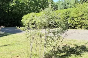 5151 River Road Liberty Grove Church Rd, North Wilkesboro, NC 28659 - Photo 22
