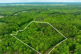 340 Bear Branch Trail, Reidsville, NC 27620 - Photo 46