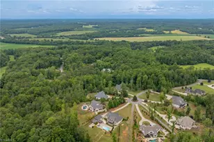 908 Limberlost Ln, Lewisville, NC 27023 - Photo 50