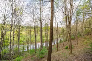594 Village Pine Dr, Jefferson, NC 28640 - Photo 40