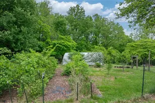 475 Hendren Rd, Moravian Falls, NC 28654 - Photo 6