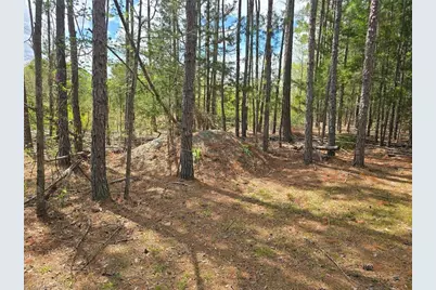 0 Riverside Road, Seagrove, NC 27341 - Photo 6