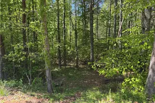 1460 Byrd Ridge Rd, North Wilkesboro, NC 28659 - Photo 24