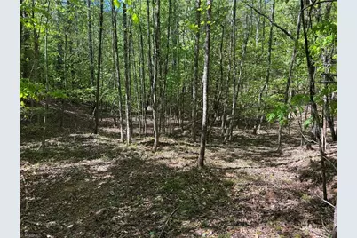 1460 Byrd Ridge Road, North Wilkesboro, NC 28659 - Photo 22