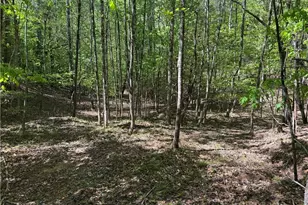 1460 Byrd Ridge Rd, North Wilkesboro, NC 28659 - Photo 22