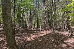 1460 Byrd Ridge Rd, North Wilkesboro, NC 28659 - Photo 24
