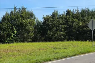 000 Beroth St, Yadkinville, NC 27055 - Photo 6
