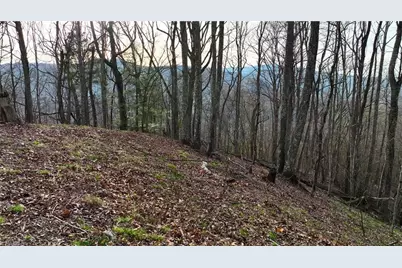 94 Bucks Ridge #15-17, Clyde, NC 28721 - Photo 12