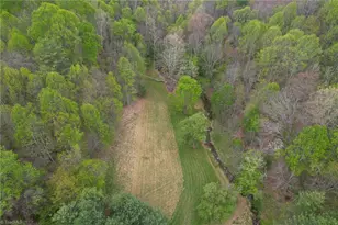 552 Dirt Nose Dr, Sparta, NC 28675 - Photo 34