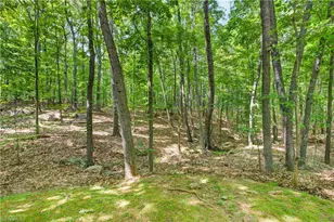 513 Heather Ct, Asheboro, NC 27203 - Photo 38