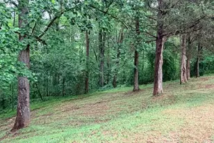 786 Central Rd, Clemmons, NC 27012 - Photo 10