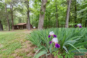 3047 Isley Dr, Snow Camp, NC 27349 - Photo 42