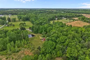 8718 Moody Rd, Liberty, NC 27298 - Photo 44
