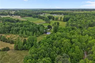 8718 Moody Rd, Liberty, NC 27298 - Photo 46