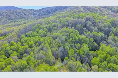 Tbd Bluff Canyon Drive, West Jefferson, NC 28694 - Photo 22