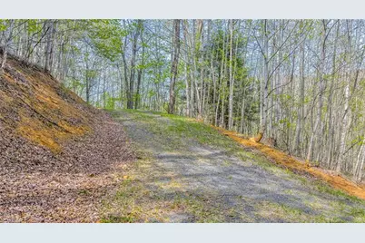 Tbd Bluff Canyon Drive, West Jefferson, NC 28694 - Photo 12