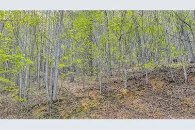 Tbd Bluff Canyon Drive, West Jefferson, NC 28694 - Photo 8