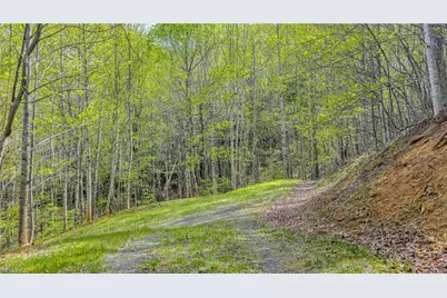 Tbd Bluff Canyon Drive, West Jefferson, NC 28694 - Photo 14