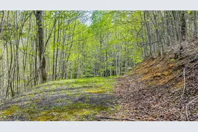 Tbd Bluff Canyon Drive, West Jefferson, NC 28694 - Photo 2
