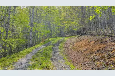 Tbd Bluff Canyon Drive, West Jefferson, NC 28694 - Photo 20