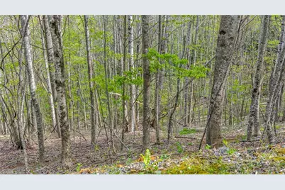 Tbd Bluff Canyon Drive, West Jefferson, NC 28694 - Photo 18