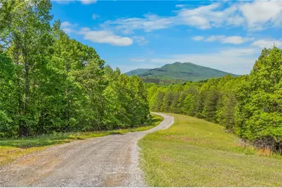 1392 Mission Road, Danbury, NC 27016 - Photo 6