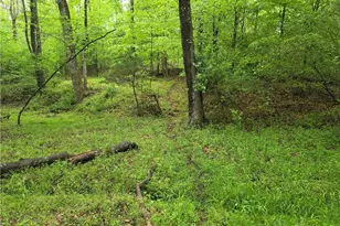 2729 Asbury Rd, Mount Airy, NC 27030 - Photo 32