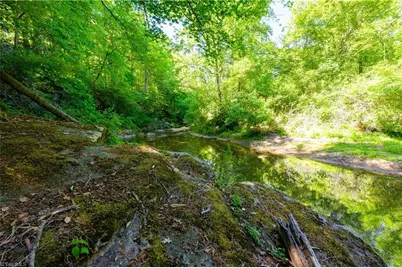 1160 River Bluff Trail, Tobaccoville, NC 27050 - Photo 42