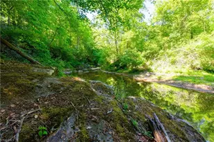 1160 River Bluff Trail, Tobaccoville, NC 27050 - Photo 42